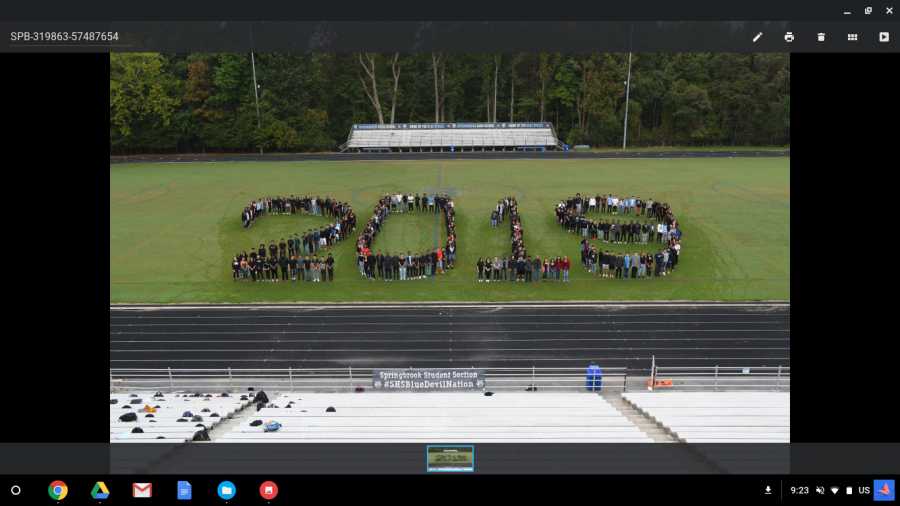 Springbrook's class of 2018 is pictured for a yearbook photo. 