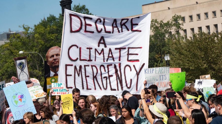 The Climate Movement in the US and Argentina