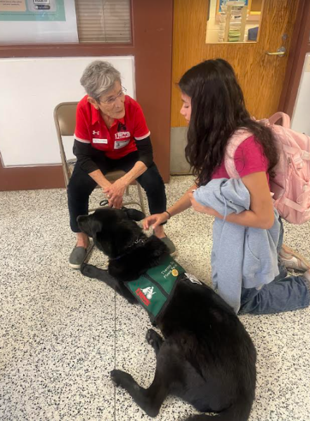 The Healing Paws: Why Therapy Dogs Are Vital for High School Students