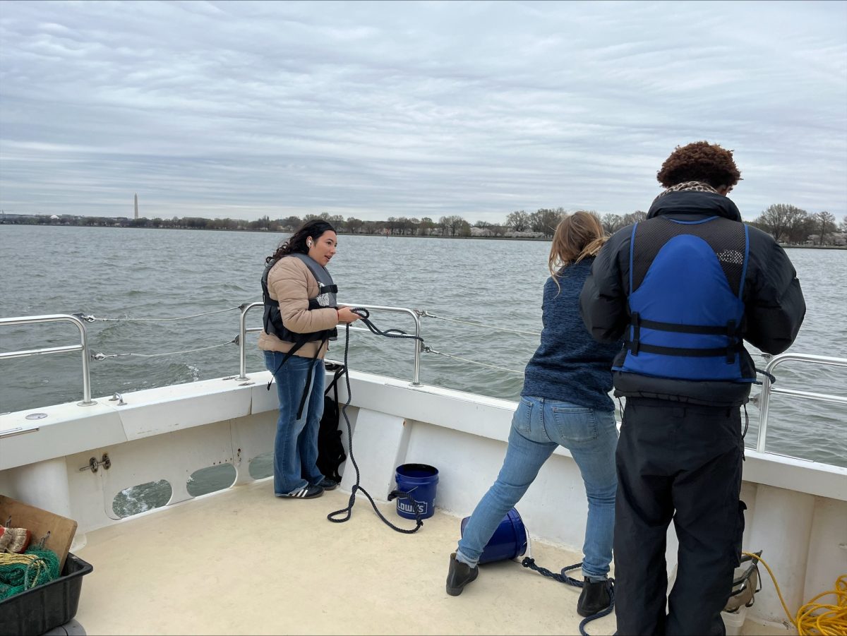 Exploring the Ecological Wonders of the Chesapeake Bay with the IB Environmental Systems and Societies class